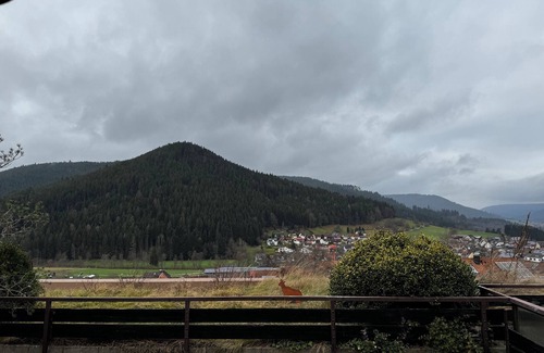Klosterreichenbach Apartment | Hirschtraum apartment in Baiersbronn with a magnificent view