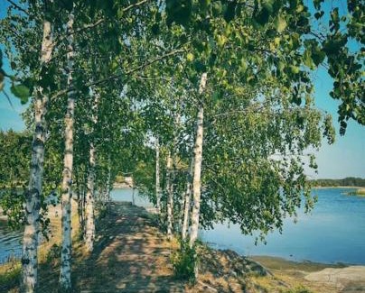 Kustavi Ski Chalet | Hirsimökki merinäköala&sauna&iso terassi