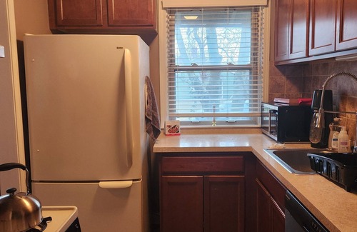 Ann Arbor Condo | Historic 2-bedroom home, in delightful eastside Ann Arbor, walkable and quiet.