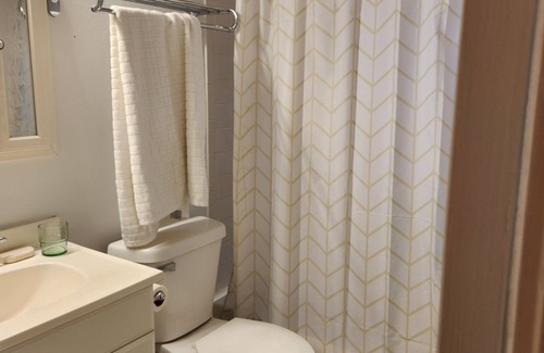 Ann Arbor Condo | Historic 2-bedroom home, in delightful eastside Ann Arbor, walkable and quiet.