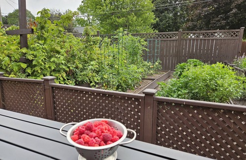 De Pere House | Historic Bungalow in downtown De Pere, sleeps 8