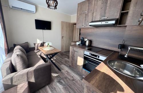 Ruse Center Apartment | Historic Center Apartment
