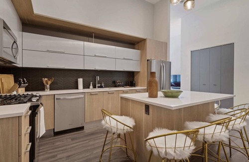 Downtown Chicago Apartment | Historic Charm + Modern Comfort for Tourists