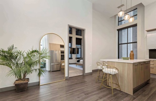 Downtown Chicago Apartment | Historic Charm + Modern Comfort for Tourists