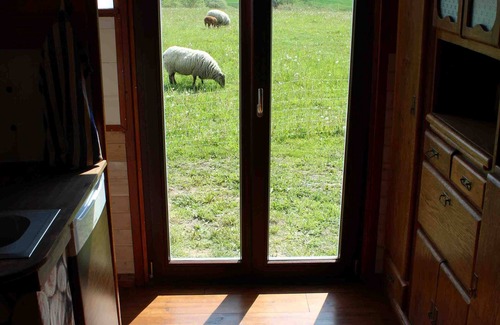Ehmkendorf Cabin | Historic circus wagon in idyllic landscape and tranquility