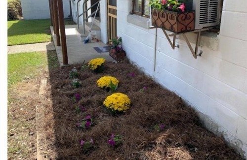 Valdosta Apartment | Historic Comfortable apartment (near Hospital 2nd Floor)