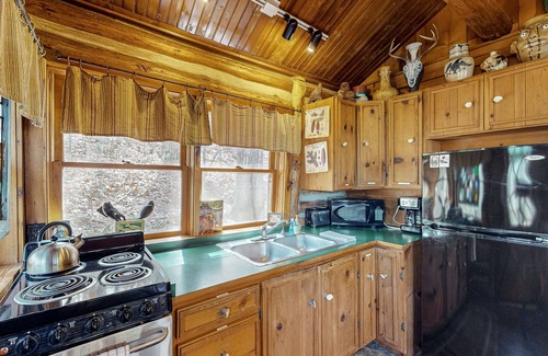 Eureka Springs Cabin | Historic dog-friendly cabin overlooking Lake Lucerne with deck & great views