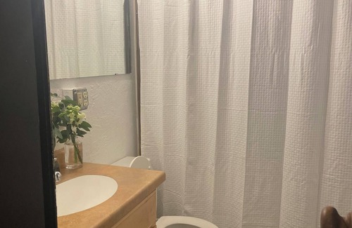 Oshkosh Apartment | Historic Downtown Apt, Algoma Suites #1 - Sleeps 4