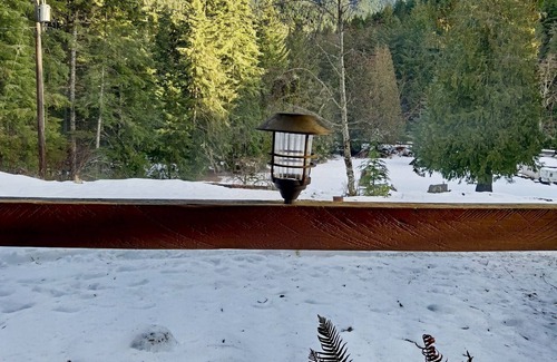 Ashford Cabin | Historic Family Cabin just 0.4 miles from Mt. Rainier entrance