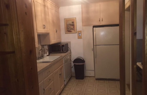 Roanoke Apartment | Historic Grandin Court Area 1st Floor Loft