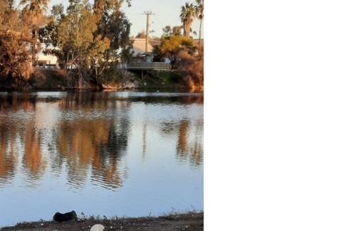 Northam House | Historic home on Avon River, Northam