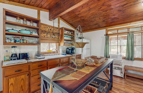 Burnet Cabin | Historic lakefront & wildlife haven with firepit & gas grill - minutes to water