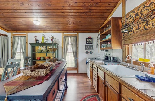 Burnet Cabin | Historic lakefront & wildlife haven with firepit & gas grill - minutes to water