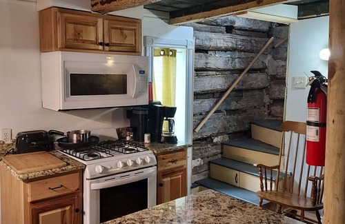 Detroit Cabin | Historic Log Cabin in the heart of Detroit