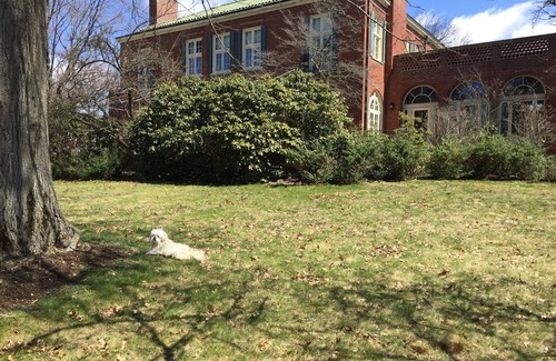 Jamestown House | Historic Mansion Amazing Wonderland !