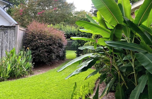 Monroe House | 📍Historic Mitchell House 1928 River View & Gardens