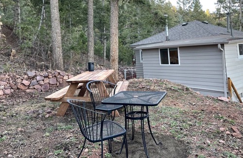 Colorado Springs Cabin | Historic Mountain Cabin in the trees and close to adventures!