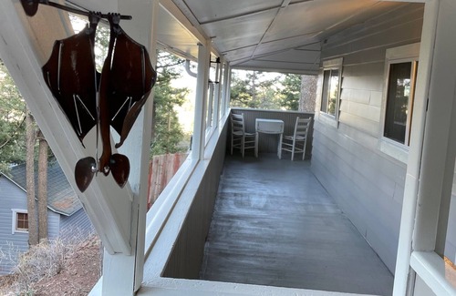 Colorado Springs Cabin | Historic Mountain Cabin in the trees and close to adventures!