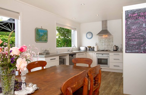 Clyde House | Historic Plum Tree Cottage - unlimited wifi, Rail trail perfect
