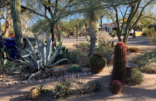 Sam Hughes House | Historic Sam Hughes Charmer. Private yard w fruit trees. Walk to UA.