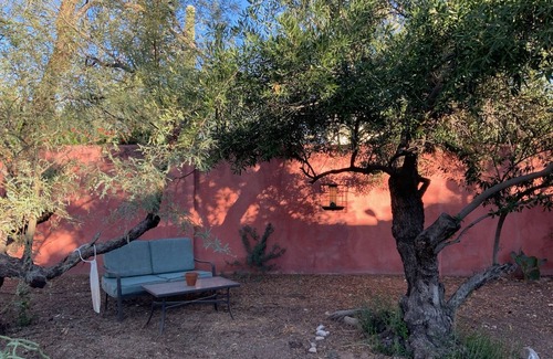 Sam Hughes House | Historic Sam Hughes Charmer. Private yard w fruit trees. Walk to UA.