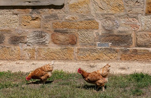 Ross Villa | Historic Sandstone Ross Farmhouse