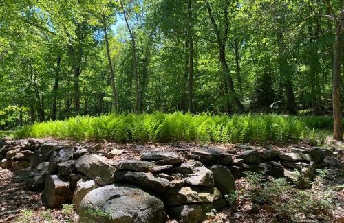 Brockton House | Historic Sears River Home (Main Level) on 10 Acres