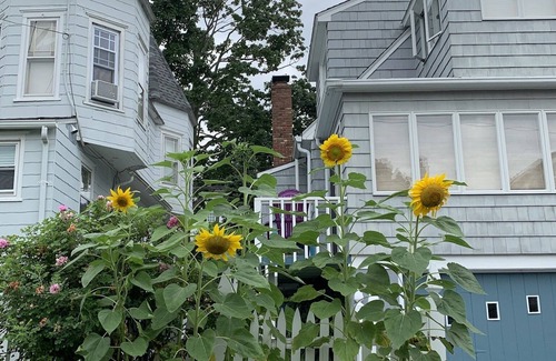 Lewisboro Cottage | Historic Summer cottage, close to private beach for rent by the month or week