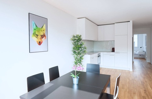 Basel City Centre Apartment | Hitrental Basel Apartments