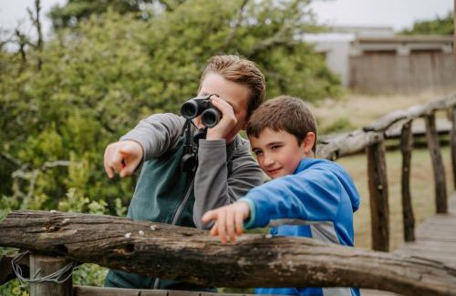 Paterson Cabin | Hlosi Game Lodge - Amakhala Game Reserve