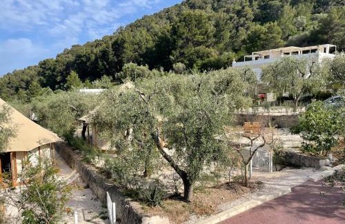 Mattinata Resort | HMO Glamping & Suites in Vignanotica