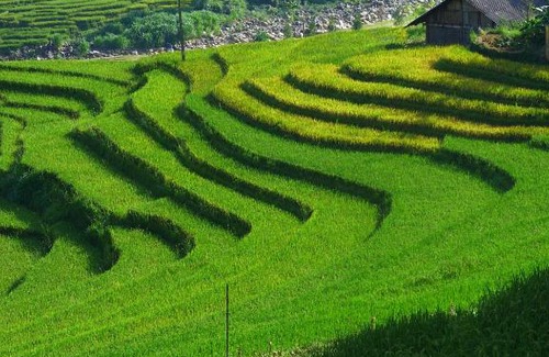 Hau Thao House | Hmong Sister House and Trekking