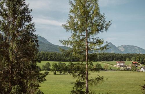 Sankt Wolfgang im Salzkammergut Apartment | Hoamhaus