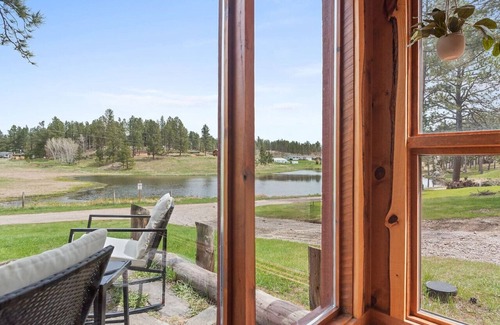Custer Apartment | Hobbit Hole: Needle Spire Views + Firepit + Sauna