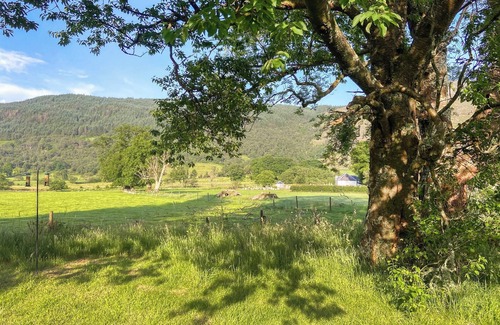 Glendaruel Cottage | Hobgoblin Apartment - UK42205