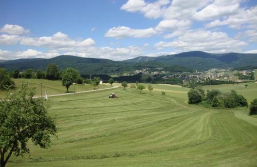 Ulrichsberg Apartment | HOCHFICHTBLICK Apartments