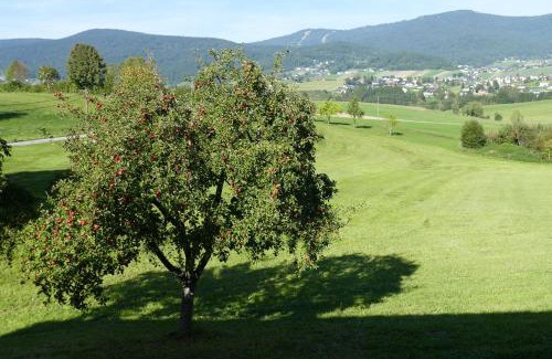 Ulrichsberg Apartment | HOCHFICHTBLICK Apartments