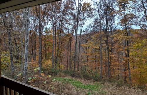 Logan Cabin | ⧫Hocking Hills Bearway to Heaven, Theater Room! Views, Hot tub, Bearific! 🔼