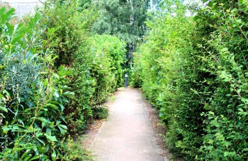 Alt Reddevitz Apartment | Hoefthus 11