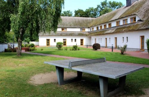 Alt Reddevitz Apartment | Hoefthus 11