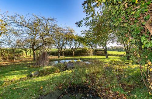 Renz Apartment | Hof Garz Wohnung Apfelgarten