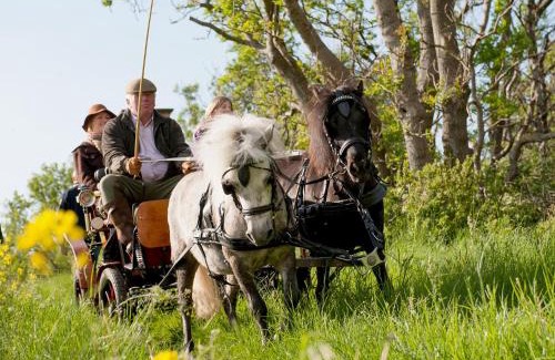 Gross Kordshagen Apartment | Hof Thomsen