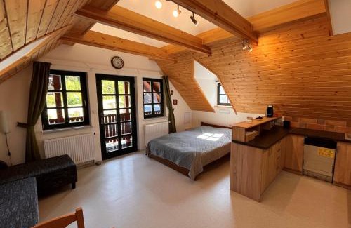 Nove Hamry Apartment | HOFBERG Apartmán
