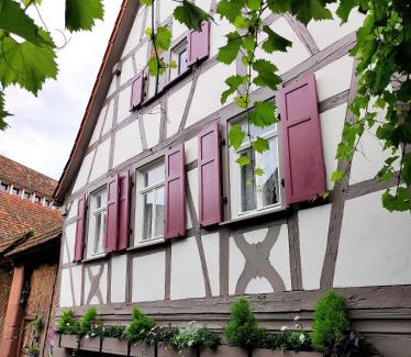 Ilbesheim House | Hofgarten Rosa