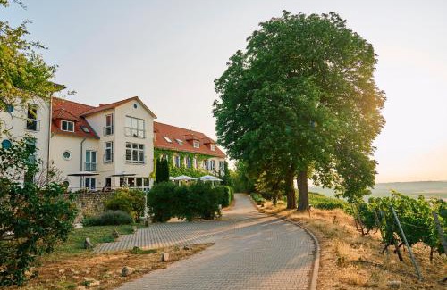 Rhenish Hesse Hotel | Hofgut Wißberg - Das Weinberghotel