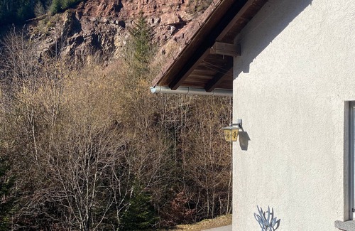 Bad Rippoldsau-Schapbach House | Holiday Home 'Holzwald' with Private Terrace and Wi-Fi