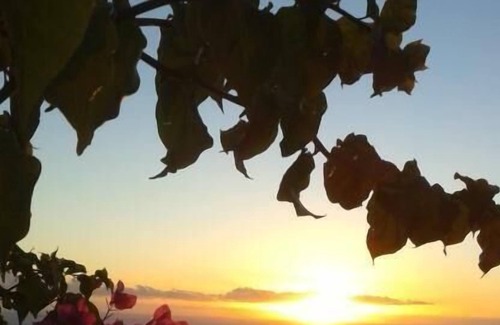 Los Quemados House | Holiday house Fuencaliente de la Palma for 1 - 3 persons with 1 bedroom - Holiday home