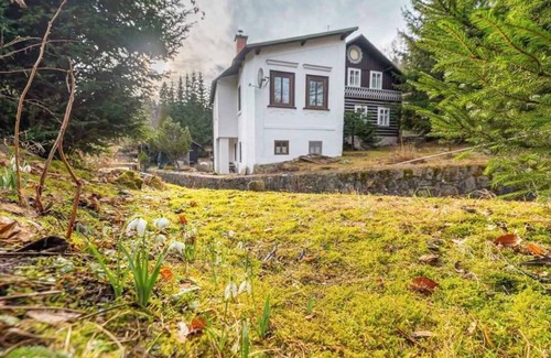 Rokytnice nad Jizerou Apartment | Holiday apartment in very beautiful surroundings