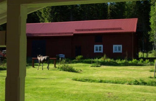 Hagfors House | Holiday accommodation in the middle of the forest in an absolutely secluded location