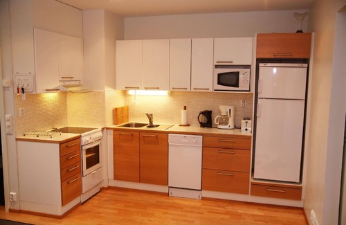 Tahkovuori Apartment | Holiday apartment Sääskiniementi for 1 - 4 persons with 1 bedroom - Holiday apartment in one or mult
